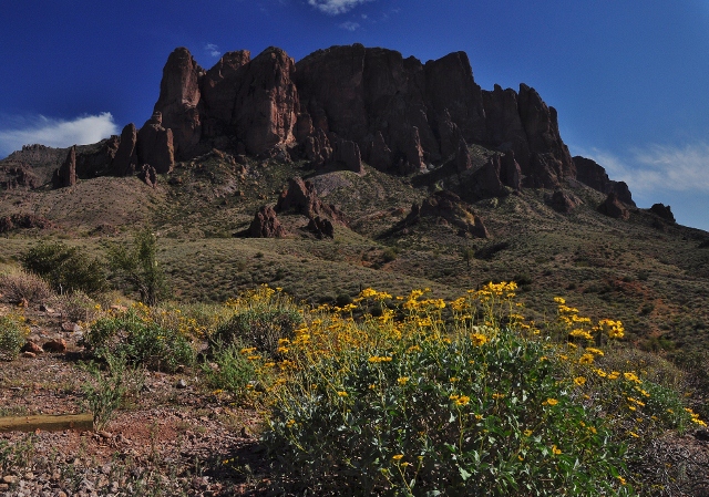 superstition mtn with wildflowers